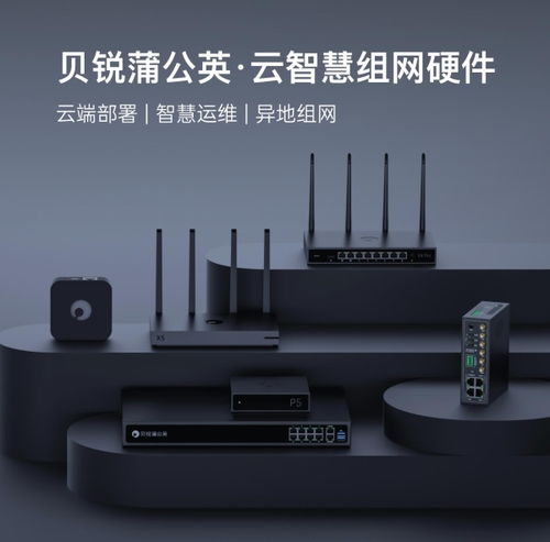 贝锐蒲公英异地组网路由器销量再夺第一，领跑中国市场